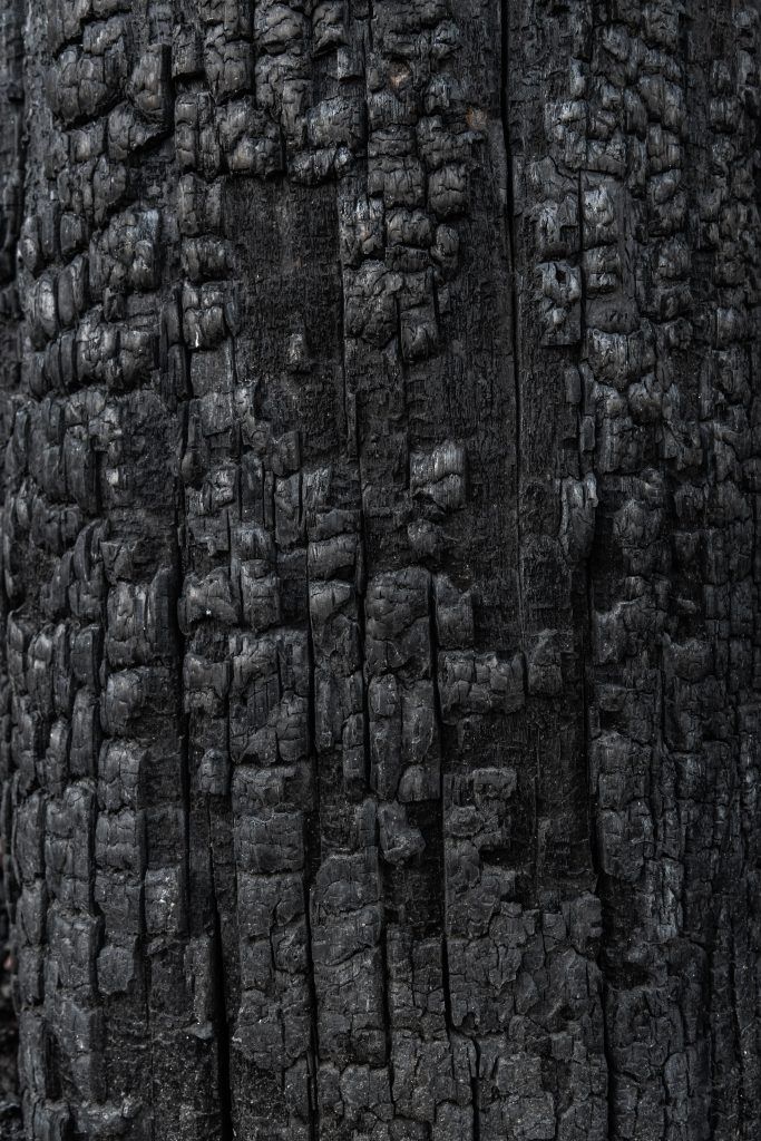 détail 100% bois naturel
